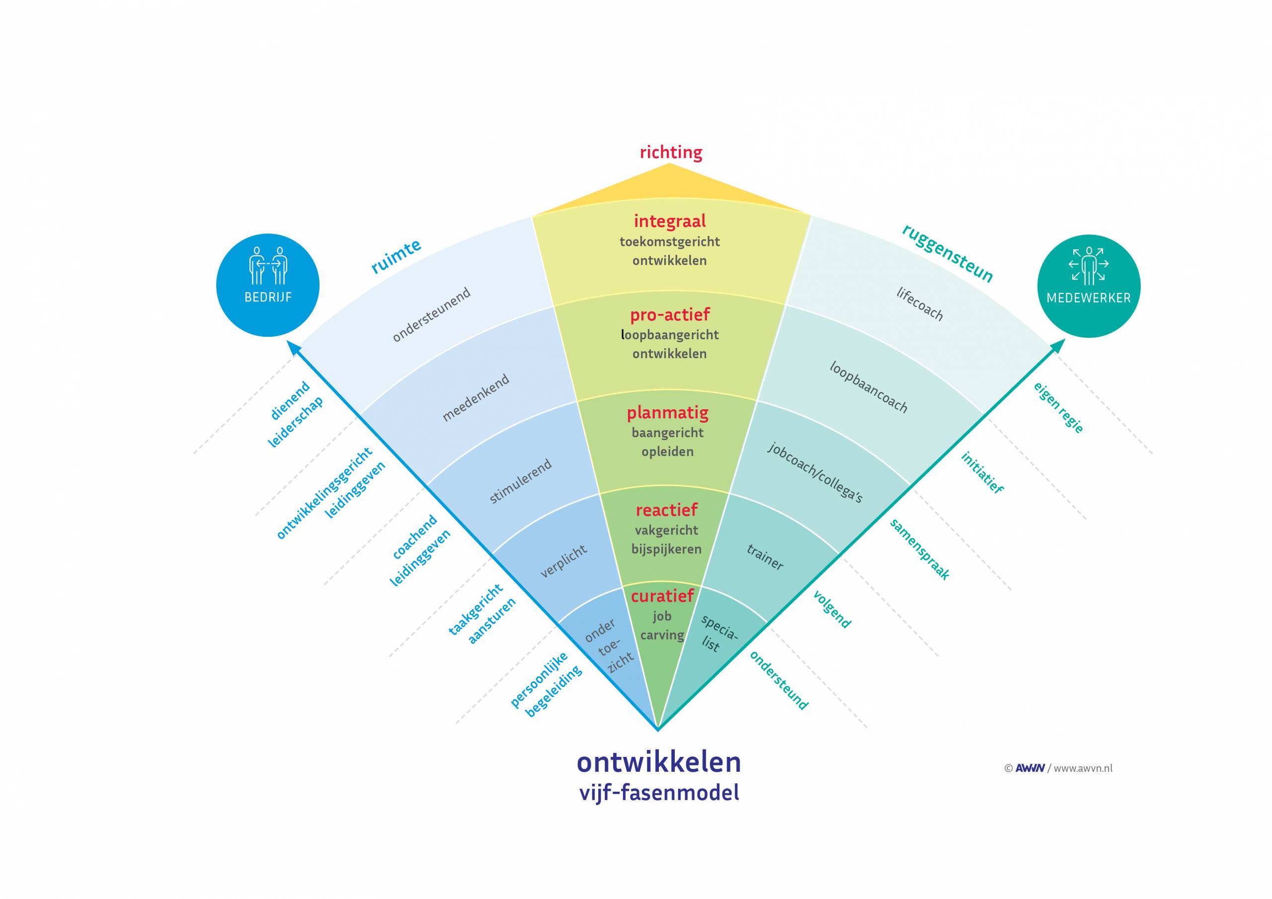 vijf-fasenmodel leercultuur organisatie