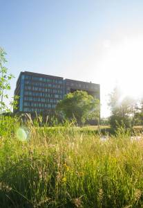 Wageningen University & Research, campus